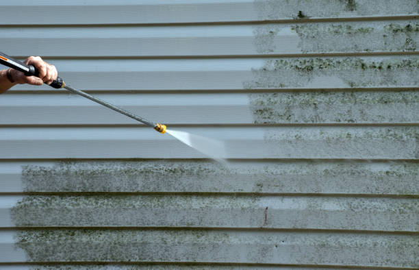 Best Residential Mold Remediation in Oakwood, IL