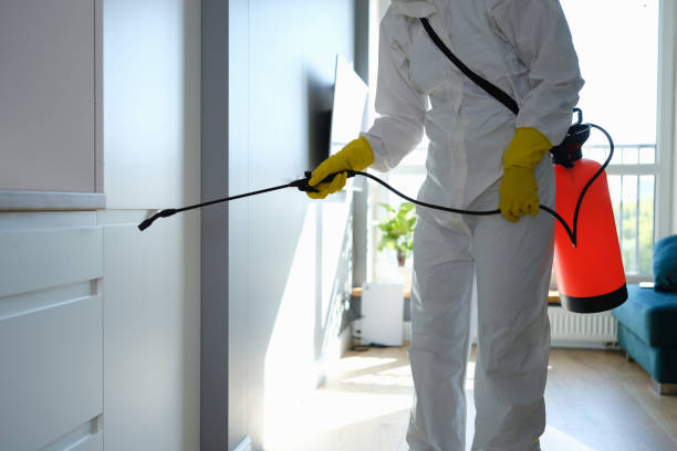 Best Crawl Space Mold Remediation in Oakwood, IL