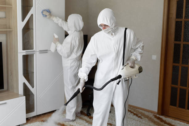 Trusted Oakwood, IL Mold Remediation Experts